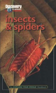 Insects & Spiders