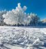 Стенен Календар 2022: Медитация
