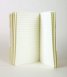 Бележник Moleskine Ruled Volant Notebook Pocket Golden Yellow: Set of 2 [7832]