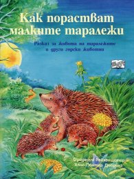 Как порастват малките таралежи. Разказ за таралежите и други горски животни