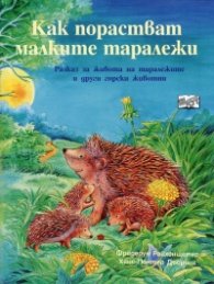 Как порастват малките таралежи. Разказ за таралежите и други горски животни
