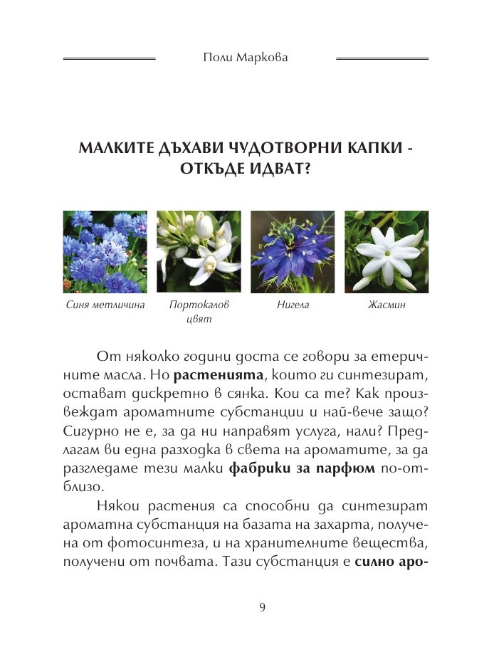 Етерични масла за всеки ден