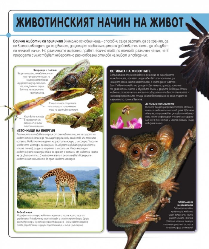 Суперприрода