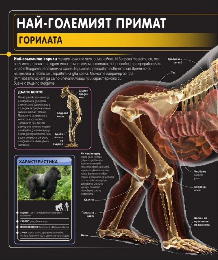 Суперприрода