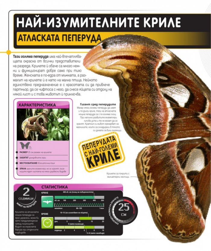 Суперприрода