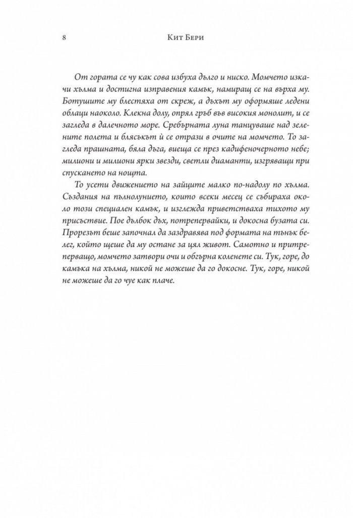 Магът от Стоунуайлд Кн.1: Стоунуайлд