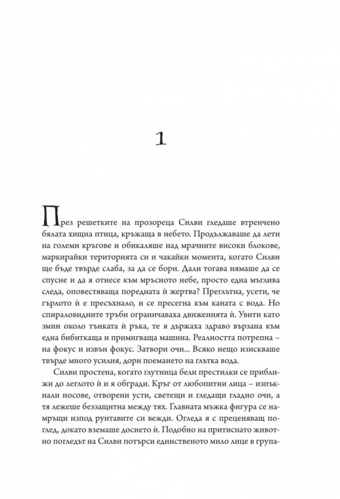 Магът от Стоунуайлд Кн.1: Стоунуайлд