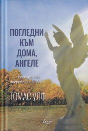 Погледни към дома, ангеле: История на един погребан живот