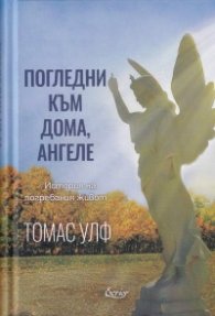 Погледни към дома, ангеле: История на един погребан живот