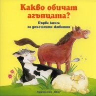 Какво обичат агънцата?