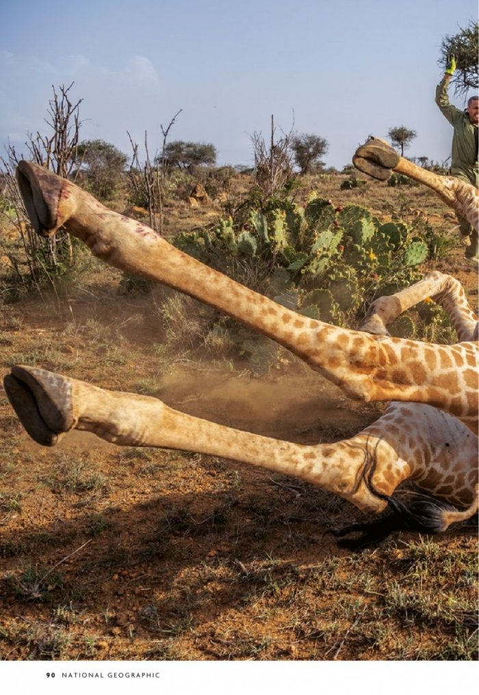 National Geographic България 3/2020