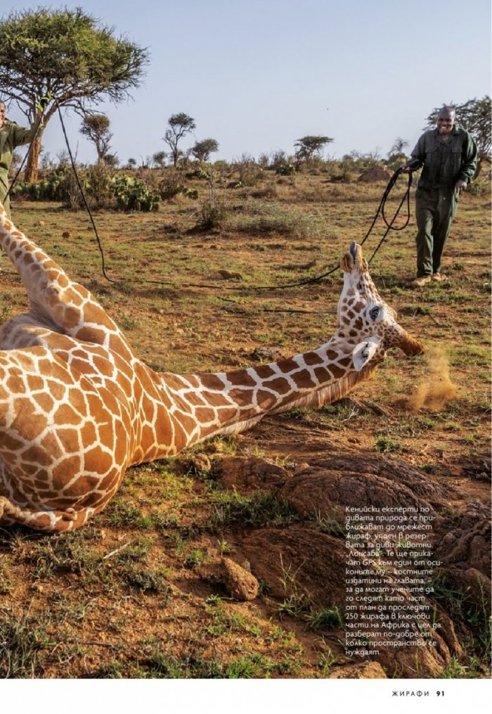National Geographic България 3/2020