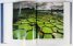 Шедьоври на природата