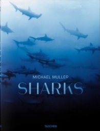 Michael Muller: Sharks, Face-to-Face with the Ocean's Endangered Predator