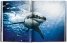 Michael Muller: Sharks, Face-to-Face with the Ocean's Endangered Predator