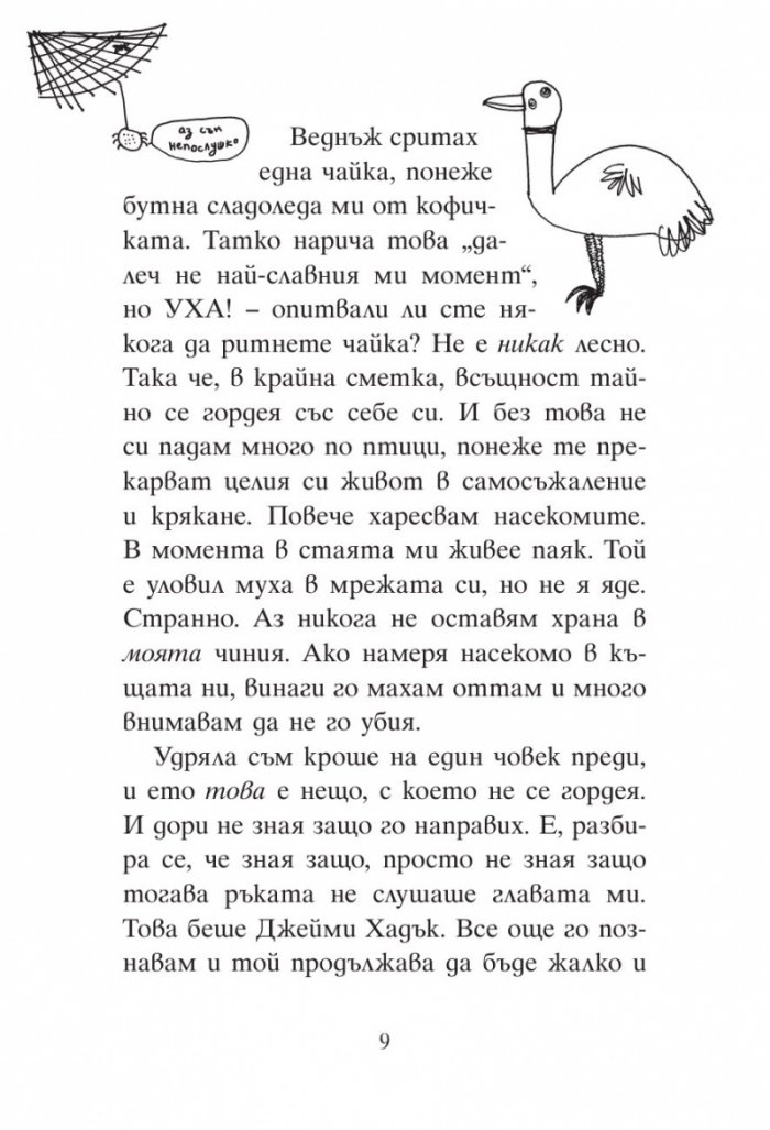 Дарси Бърдок