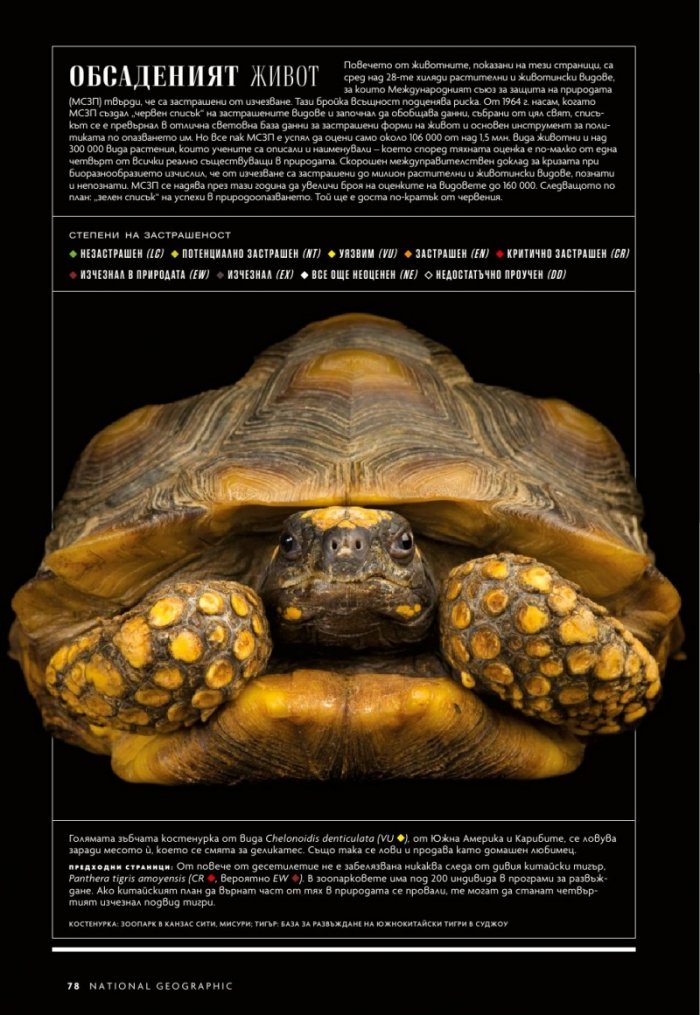 National Geographic България 5/2020