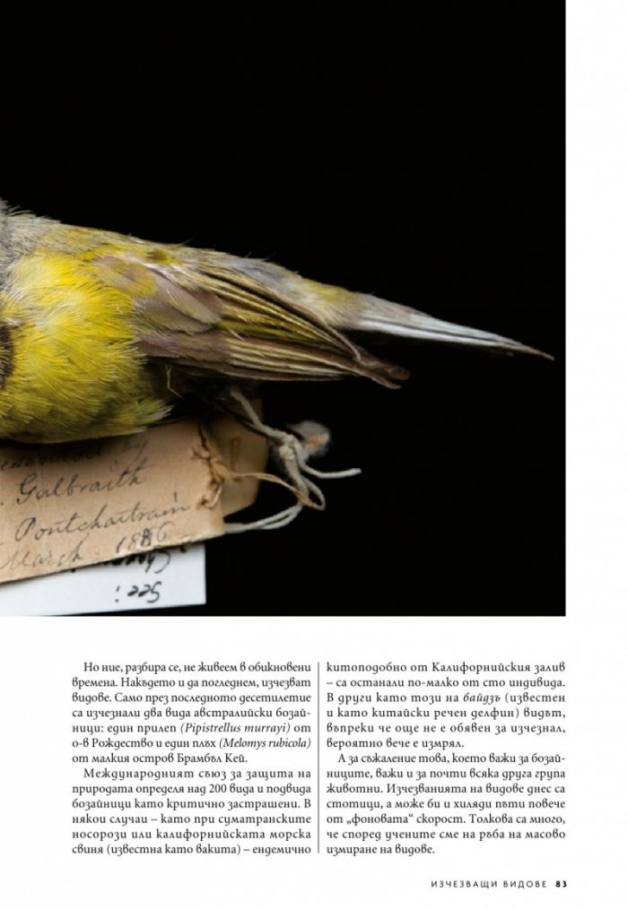 National Geographic България 5/2020
