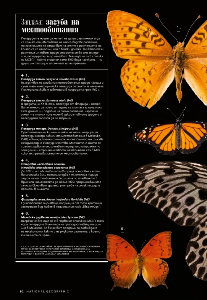 National Geographic България 5/2020