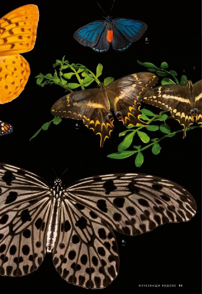 National Geographic България 5/2020