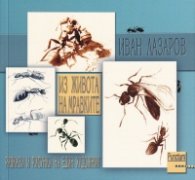 Из живота на мравките. Разкази и рисунки на един художник