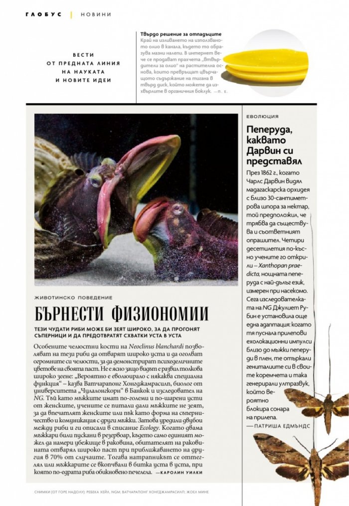 National Geographic България Февруари/2023