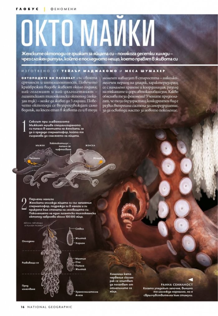 National Geographic България Февруари/2023