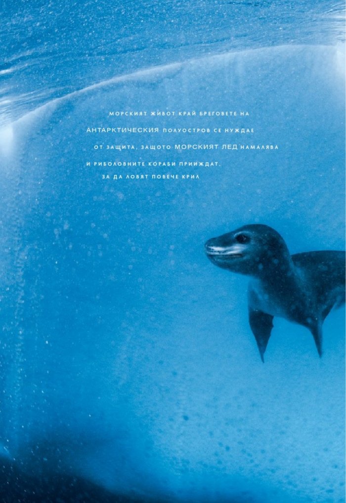 National Geographic България Февруари/2023