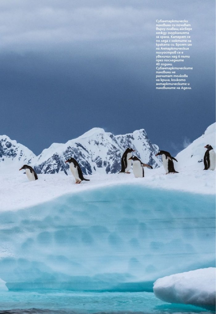 National Geographic България Февруари/2023