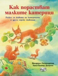 Как порастват малките катерици. Разказ за живота на катериците и други горски животни