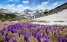 България: 200 уловени мига