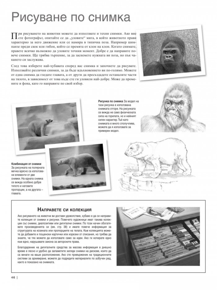 Изкуството да рисуваш животни