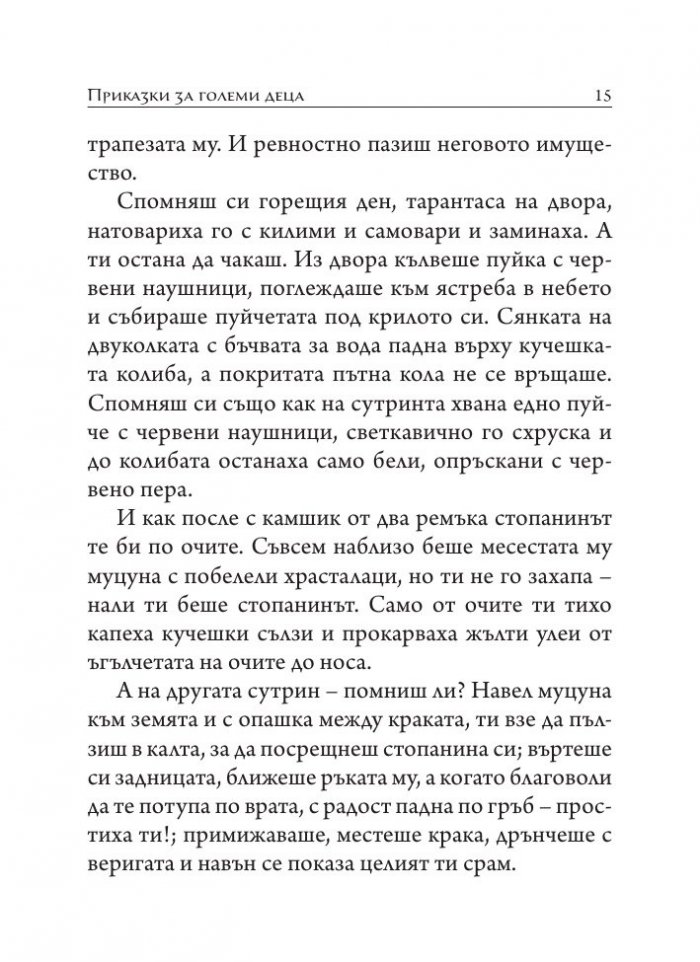 Приказки за големи деца. Разкази, размисли, фрагменти