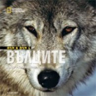 Очи в очи с вълците/ National Geographic