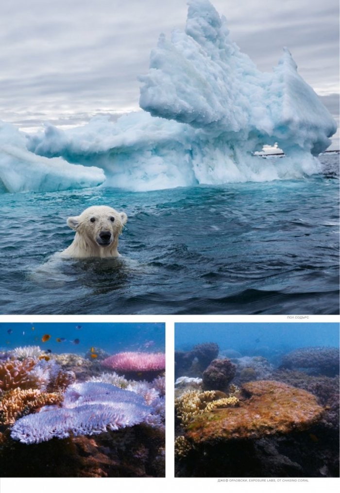 National Geographic България 04/2017