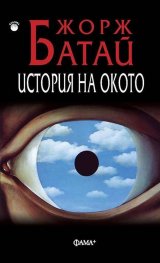 История на окото