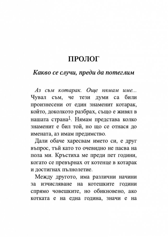 Пътеписът на един котарак