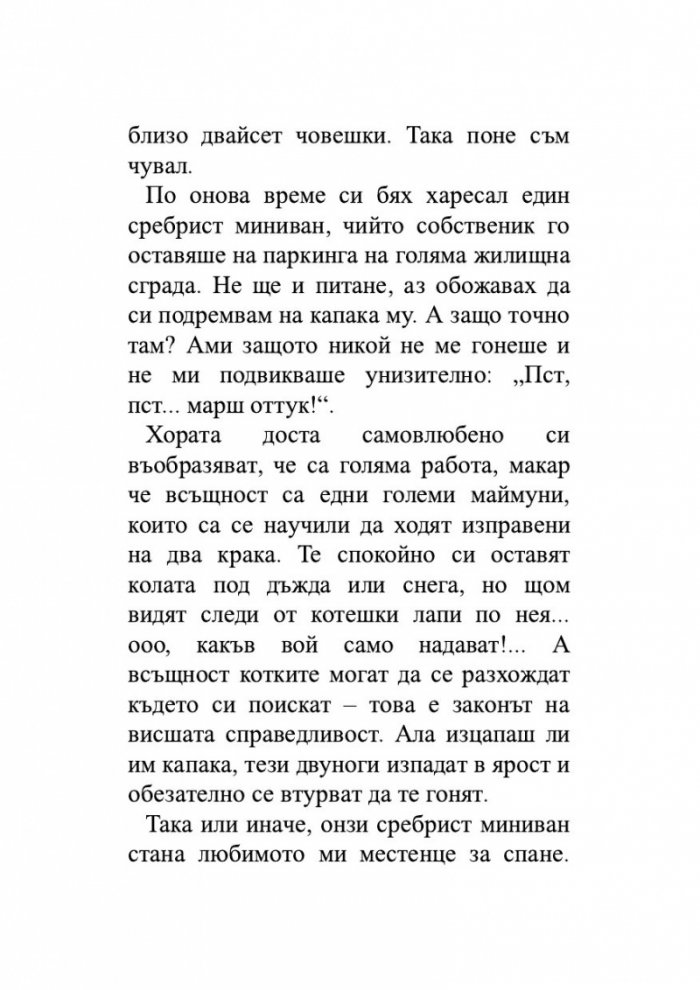 Пътеписът на един котарак