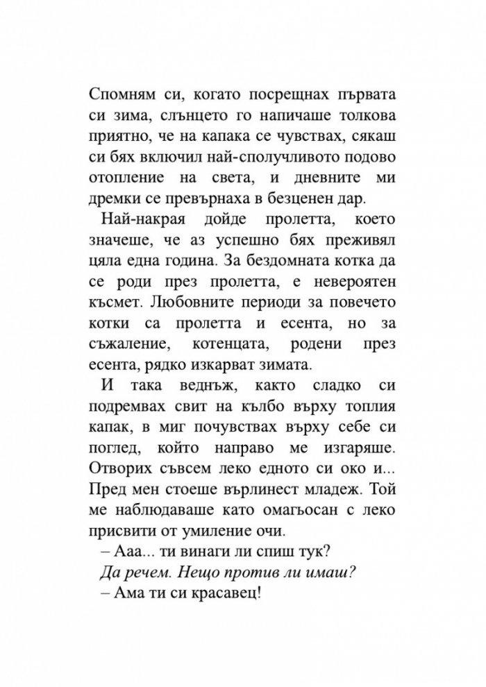 Пътеписът на един котарак