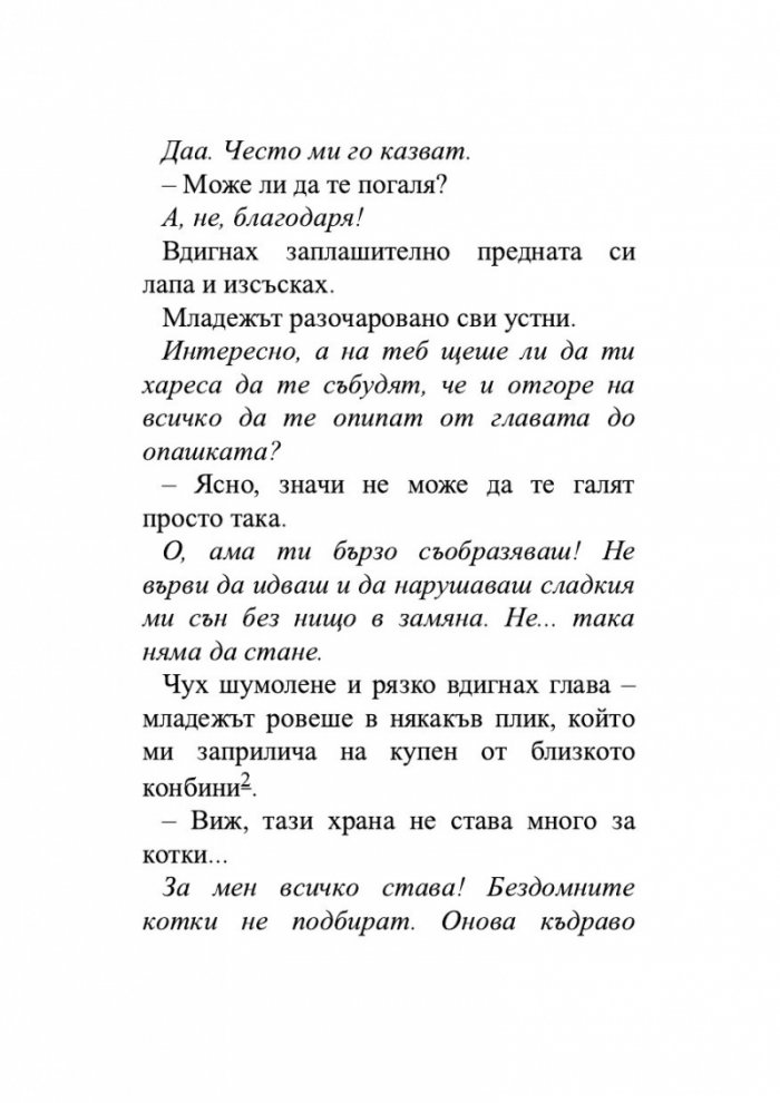 Пътеписът на един котарак