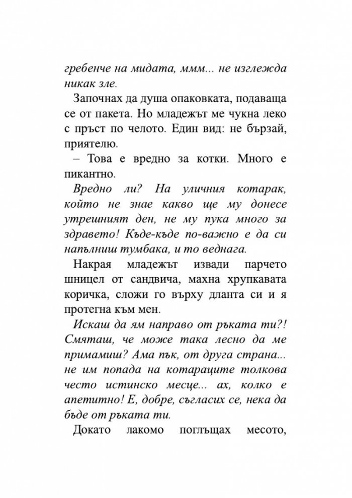 Пътеписът на един котарак