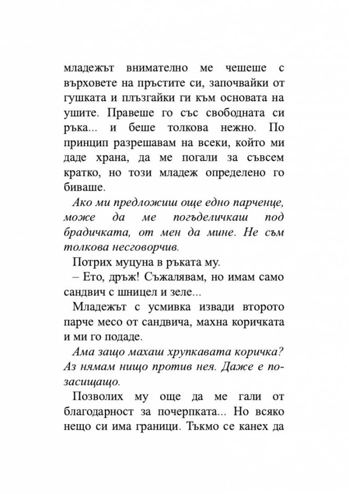 Пътеписът на един котарак