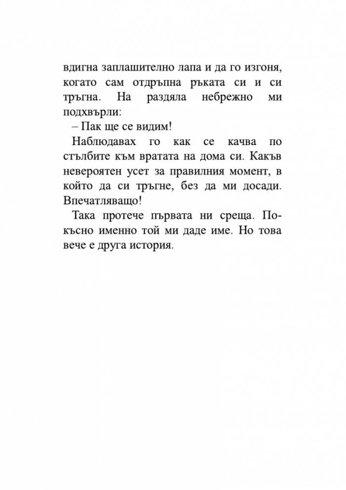 Пътеписът на един котарак