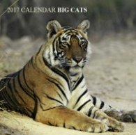 Calendar 2017: Big Cats