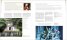 Opera : The Definitive Illustrated Story