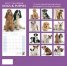 Calendar 2017: Dogs & Puppies
