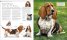 The Dog Encyclopedia : The Definitive Visual Guide
