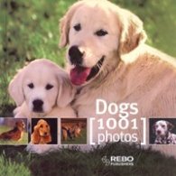 Dogs/ 1001 Photos
