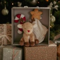 Коледна Подаръчна Кутия с Меки Играчки за Бебе LD4878
