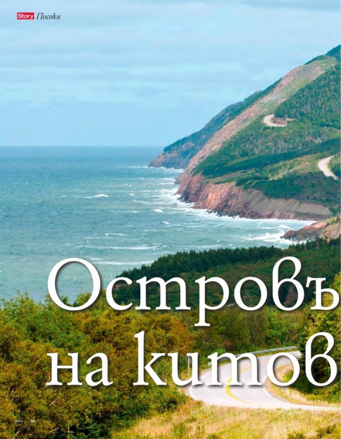 Story; Бр. 22/2014